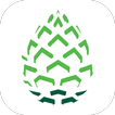 Pinecone Mobile App