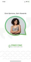 Pinecone poster