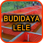 Budidaya Ikan Lele Terpal icône