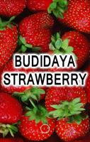 Budidaya Strawberry تصوير الشاشة 3