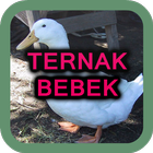 Ternak Bebek Peking ไอคอน