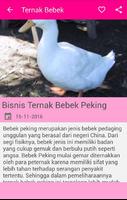 Ternak Bebek Peking ảnh chụp màn hình 2