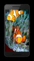 برنامه‌نما Aquarium Live Wallpaper عکس از صفحه