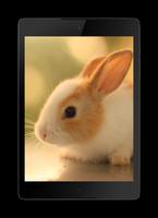 Bunny Live Wallpaper imagem de tela 3