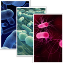 Las bacterias Live Wallpaper APK