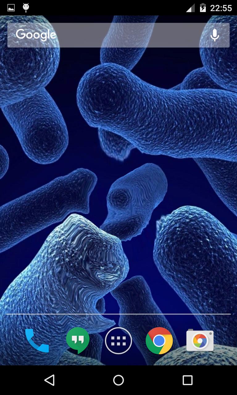 Живые бактерии название. Живые бактерии. Живые бактерии КИП. Живая бактерия для труб. Живые бактерии и Витали.