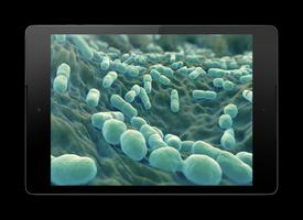 Bacteria Live Wallpaper plakat