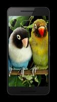 Parrot HD Wallpaper Pro capture d'écran 2
