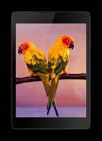 Parrot HD Wallpaper Pro capture d'écran 3