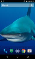 Sharks HD Wallpaper Pro 포스터