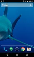 Sharks HD Wallpaper Pro 스크린샷 1