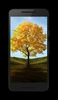 Trees HD Wallpaper Pro 截圖 1