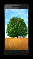 Trees HD Wallpaper Pro 截圖 2