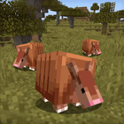 Cute Armadillo Mobs for MCPE Zeichen