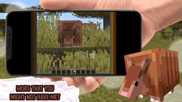 Cute Armadillo Mobs for MCPE Plakat