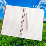 Notebook Graphical
