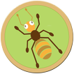 ”Amazing Ant