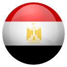 Egypt Numbers Changer icône