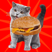 ”Can I Haz Cheezburger