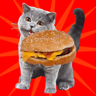 Can I Haz Cheezburger icon