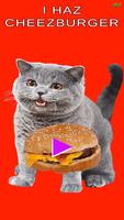 Can I Haz Cheezburger poster