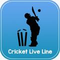 ”Cricket LiveLine2020-IPL 2020