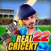 Real World Cup ICC Cricket T20