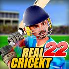 Real World Cup ICC Cricket T20 icône