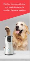 Waggle Camera Cartaz