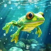 ”Pocket Frogs: Tiny Pond Keeper