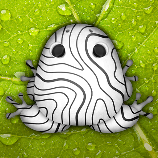 Pocket Frogs: Tiny Pond Keeper