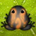 Pocket Frogs
