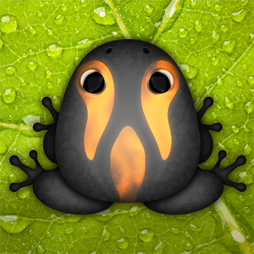 Pocket Frogs: Tiny Pond Keeper