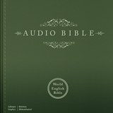 Audio Bible: God's Word Spoken icono