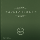 Audio Bible: God's Word Spoken 圖標