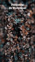Super Wallpapers | 50000+ HD Backgrounds 截图 1