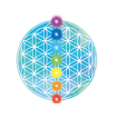 瑛之心養生 孫安迪醫師 園地 APK