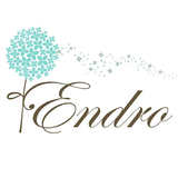 安垛 Endro иконка