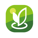 純翠綠拿鐵 APK