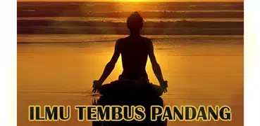 tembus pandang