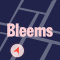 Bleems - Bleemer
