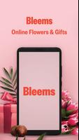 Bleems poster