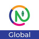 Ninja Global Import Export APK