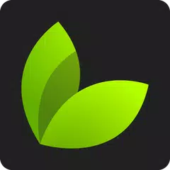 خواص گیاهان دارویی - خواص مواد APK 下載