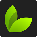 خواص گیاهان دارویی - خواص مواد APK
