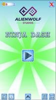 Ninja Dash Affiche