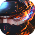 Ninja Fierce Battle