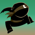 Black Ninja