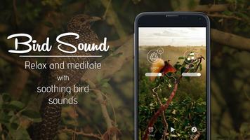 Bird Sound ~ Nature Sound HD Affiche