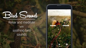 Bird Sound ~ Nature Sound HD الملصق